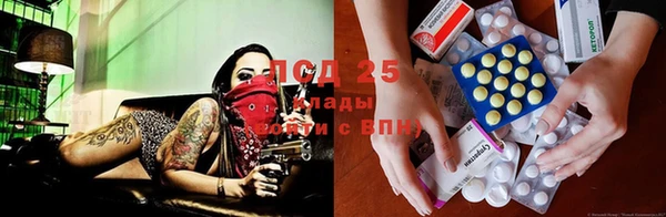 спиды Алексин