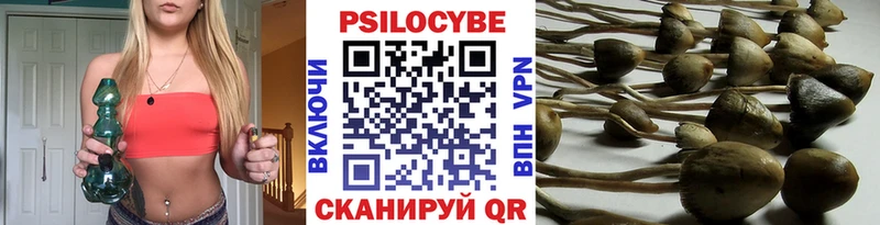 Галлюциногенные грибы мицелий Пучеж