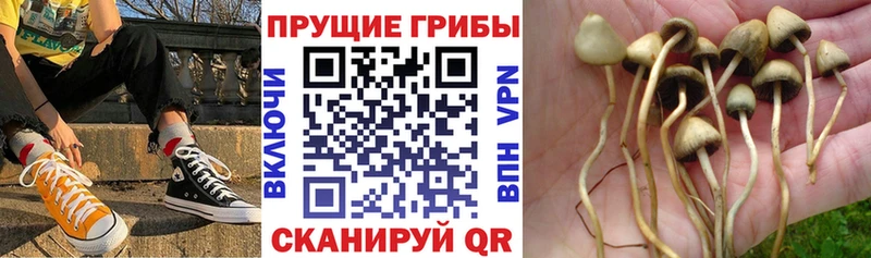 Галлюциногенные грибы ЛСД  купить наркоту  KRAKEN онион  Пучеж 
